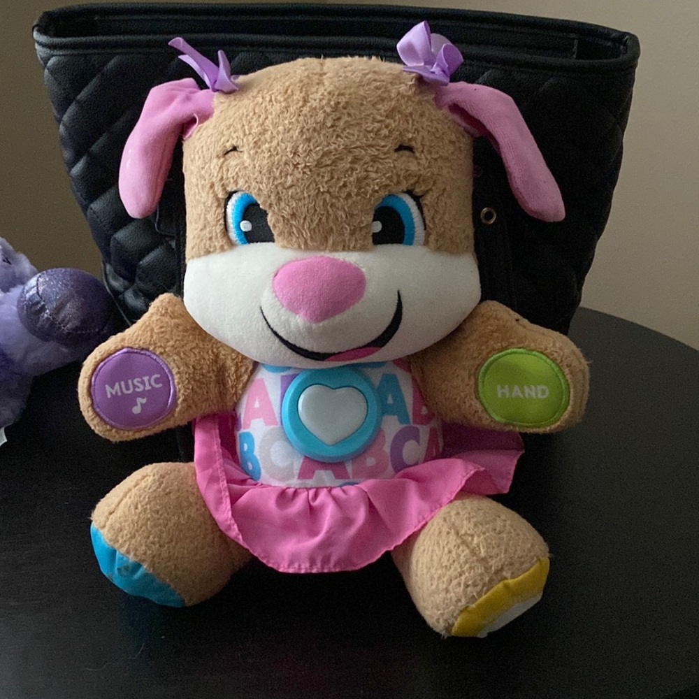 Chicks learning stuffed animal